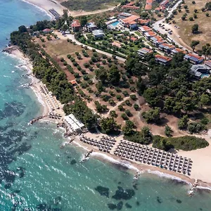 Blue Dolphin Μεταμόρφωση